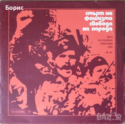 Идеологически плочи от Народна република България, 19 броя , снимка 15 - Грамофонни плочи - 43896908