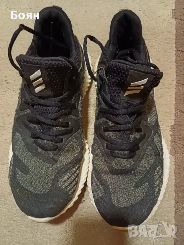 Adidas Alphabounce Beyond 

