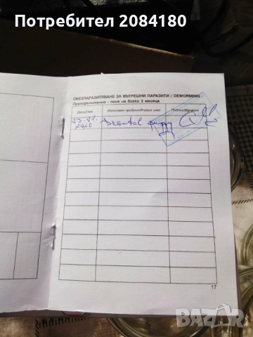 Продавам малки овчарски кученца, снимка 7 - Каракачанска овчарка - 52999016