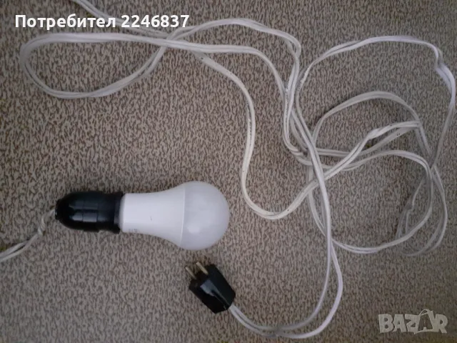 Крушка, снимка 2 - Крушки - 49099267