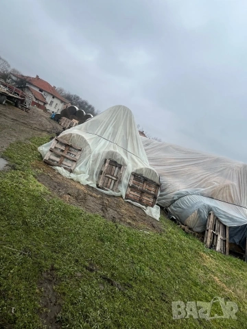 ролонни бали люцерна, снимка 7 - За селскостопански - 53300344