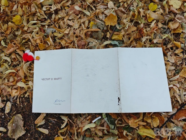 Честит 8 март Светлин Русев, снимка 3 - Други ценни предмети - 51227708