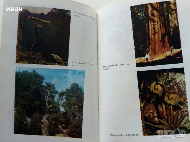 Христоматия по Биология - Ботаника том2 - 1985г., снимка 6 - Други - 38038328