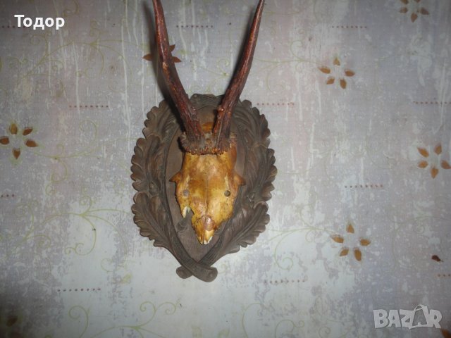 Уникален немски ловен трофей дърворезба 8, снимка 4 - Антикварни и старинни предмети - 43728551