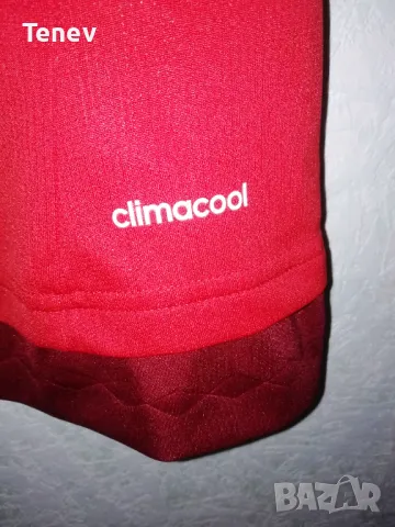 Bayern Munich Adidas 2015/2016 оригинална тениска фланелка Байерн Мюнхен , снимка 8 - Тениски - 48457023