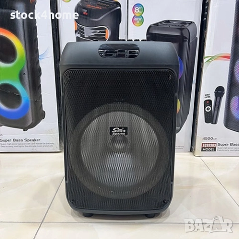 Караоке тонколона с 12 инча говорител и 2 безжични микрофона, снимка 6 - Тонколони - 52243323