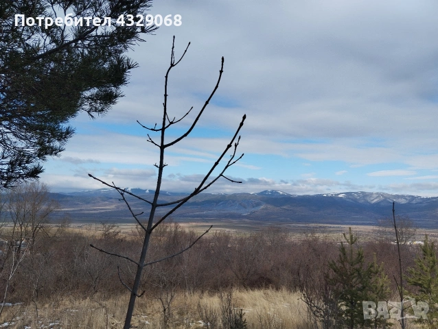 Имот в Сапарева баня , снимка 2 - Парцели - 49608752