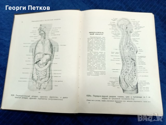 Атлас анатомии человека, снимка 4 - Антикварни и старинни предмети - 43818672