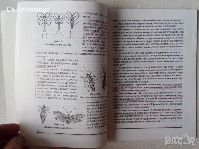 Риболовът и "тайните" на естествената сладководна стръв; Риболов, риби и растителност Ефтимий Бенев, снимка 3 - Специализирана литература - 48900813
