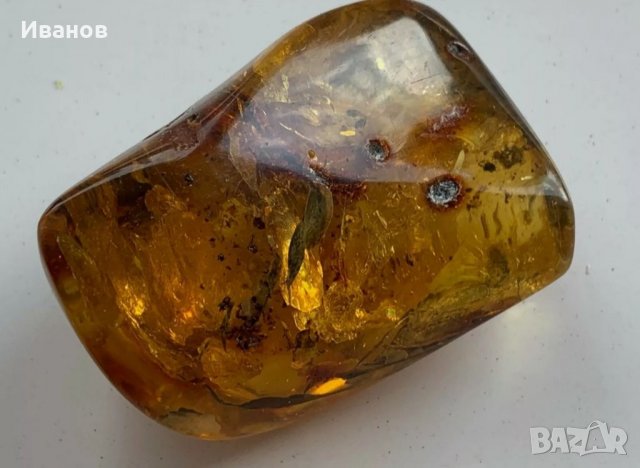 Балтийски кехлибар с отлично съхранени фосили , снимка 2 - Други - 33665443