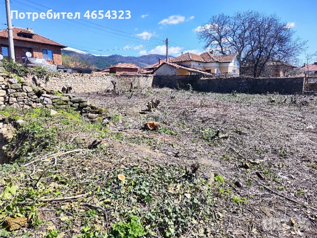 Парцел в село Мирково, снимка 4 - Парцели - 52452595