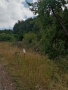 Продавам парцел в село Люлин , снимка 3