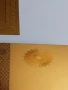 Позлатена с 24 карата банкнота 1000000 евро със сертификат, снимка 5