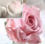 2 Обли листа листо за направа на роза цвете силиконов молд вейнър фондан торта декор , снимка 3