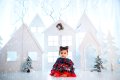 Коледна рокличка Рр - 1г. Обличана е за 30мин. за фотосесията , снимка 1 - Бебешки рокли - 44105737