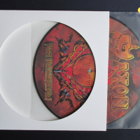 LP Немски ДИСПЛЕЙ за Picture Disc 12" Голяма Рисувана грамофонна плоча тип Картина, снимка 3 - Samsung - 36305951