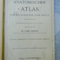 Антикварни книги - атлас анатомия - 2 бр., снимка 6 - Антикварни и старинни предмети - 27970222