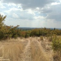 Продавам земеделска земя, точно до края на село Дълбоки 9,7дка, снимка 1 - Земеделска земя - 43025146