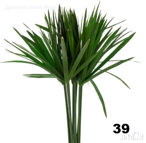 Стабилизирани естествени растения и листа - декорация, украса, арт., снимка 1