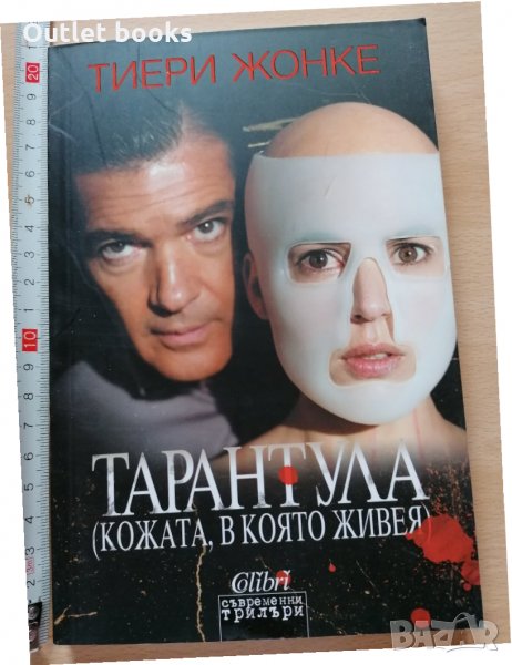 Тарантула Тиери Жонке, снимка 1