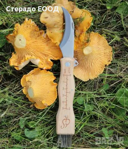 ГЪБАРСКО НОЖЧЕ, снимка 1