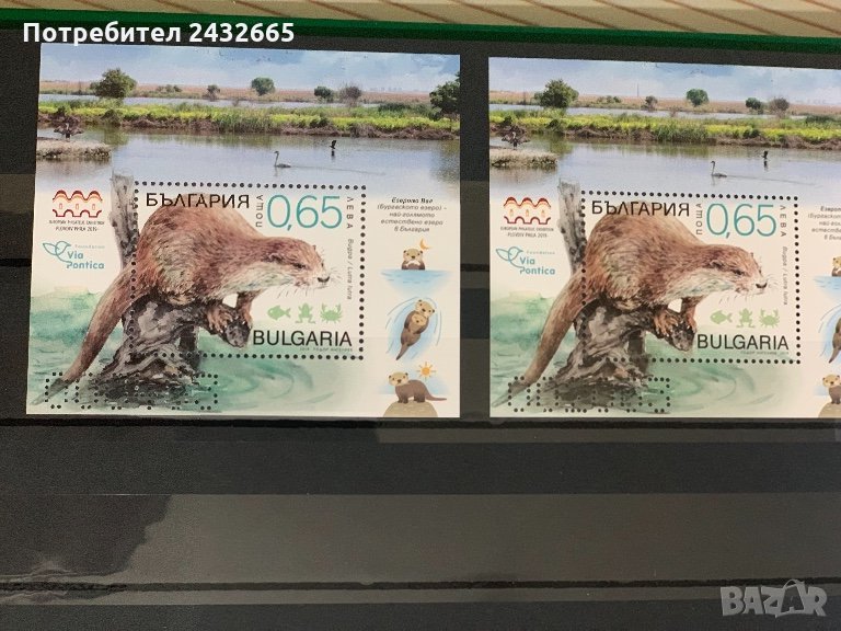 35. България 2019 ~  БК5432: “ Фауна. Защитени видове в Бургаското езеро- Видра”,**,MNH., снимка 1