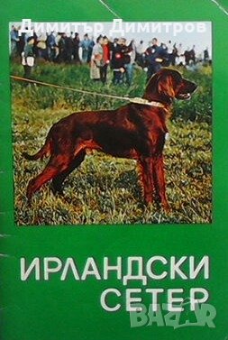 Ирландски сетер, снимка 1
