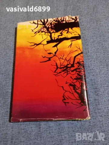 Николай Павлов - Краят на едно завръщане , снимка 3 - Българска литература - 48446034