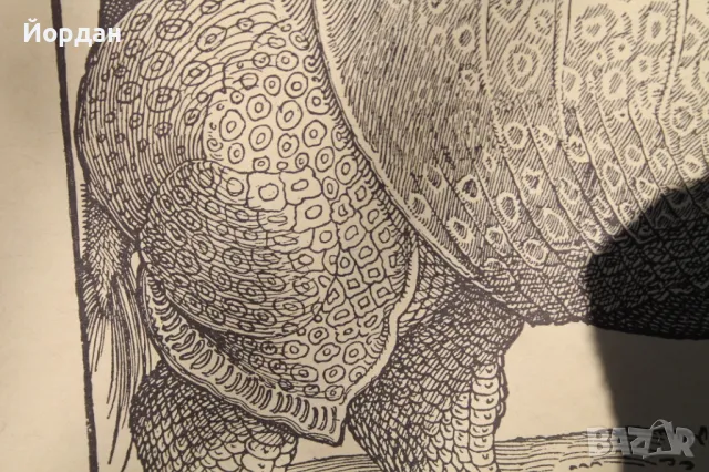 Литография ''Албрехт Дюрер'', снимка 2 - Колекции - 48572598