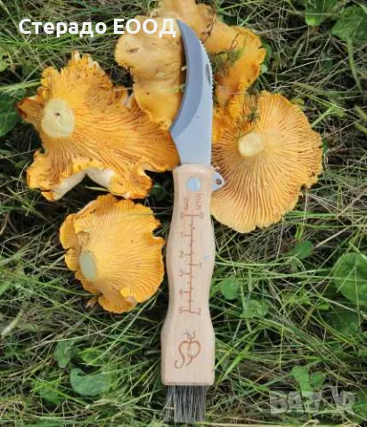 ГЪБАРСКО НОЖЧЕ