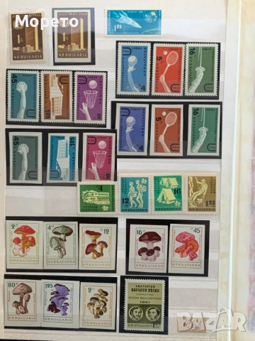 Лот чисти марки от 1961 година