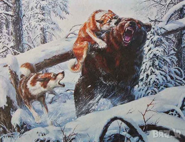 Зимен пейзаж с мечка и кучета, картина за ловци
