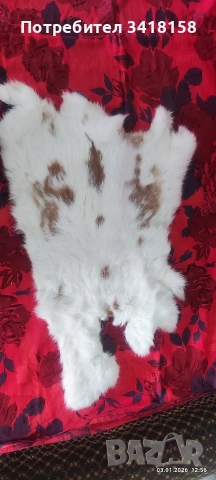 заешки кожички, снимка 13 - Други стоки за дома - 52962623