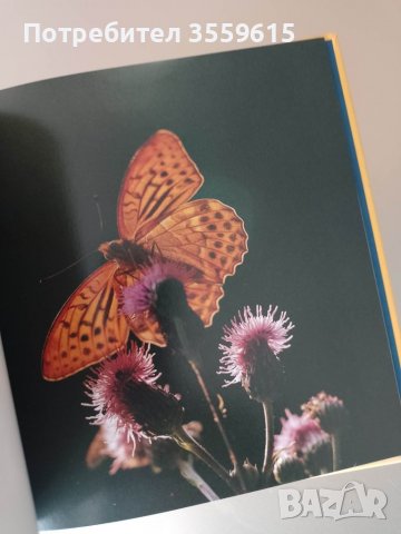 уникална немска книга за природата със стотици красиви снимки, снимка 7 - Други - 38918716