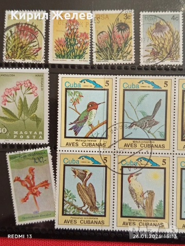 Стари пощенски марки от цял свят смесени ПТИЦИ, ЦВЕТЯ за КОЛЕКЦИЯ ДЕКОРАЦИЯ 52069, снимка 2 - Филателия - 53232019