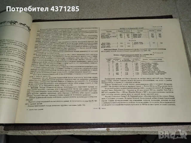 Альбом пород лошадей СССР - С.В.Афанасьев"1953  книга , снимка 10 - Художествена литература - 49216088