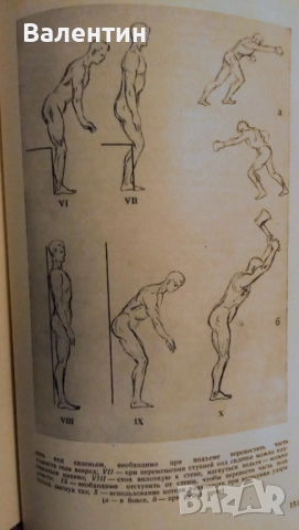 Пластична анатомия на човека и на четириногите животни и птици на руски език, снимка 3 - Специализирана литература - 52045113