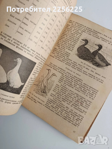 Птицевъдство, снимка 5 - Специализирана литература - 53540000