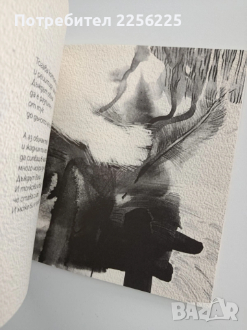 Ти и котките следобед, снимка 4 - Художествена литература - 53373003