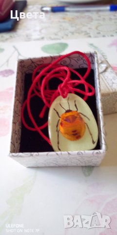 Медальон  от естествен монголски бръмбар, снимка 10 - Колиета, медальони, синджири - 32587743