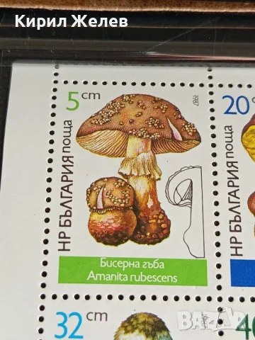 Пощенски марки чиста комплектна серия ГЪБИ поща НРБЪЛГАРИЯ за КОЛЕКЦИОНЕРИ 46344, снимка 2 - Филателия - 47769888