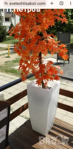 Светещи саксии , снимка 3 - Саксии и кашпи - 49331490