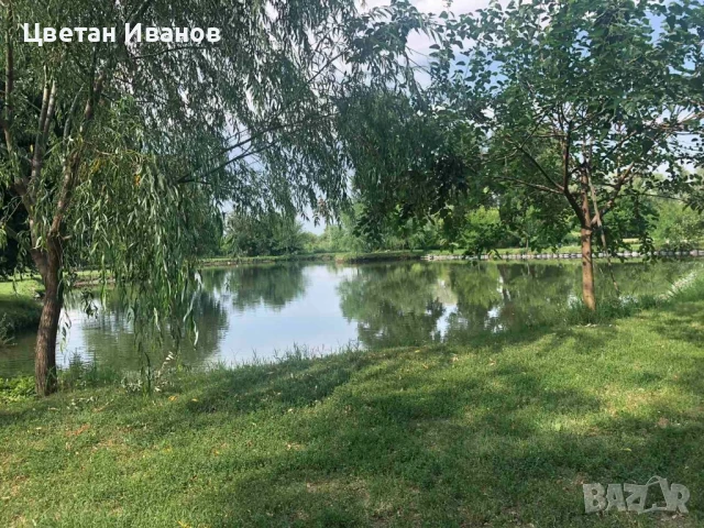 Рибарник водни площи , снимка 4 - Други - 50518743