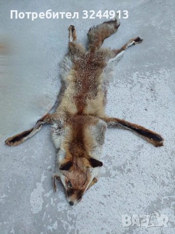 Лисича кожа , снимка 4 - Други стоки за дома - 52309285