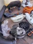 Моторна пръскачка STIHL SR 200 на части, снимка 4