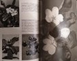 Иллюстрированная энциклопедия растений. Четвертое издание. Ф. А. Новак 1987г., снимка 4