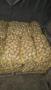 Продавам Картофи, сорт Сорая, снимка 3