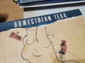 БОЖЕСТВЕНИ ТЕЛА 1212251854, снимка 7