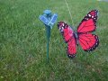 Соларна пеперуда за саксия градина, снимка 3