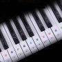 Стикери за пиано и йоника: Ноти и букви 